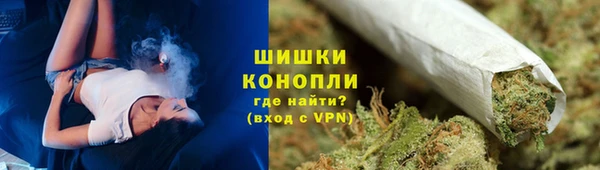 PSILOCYBIN Архангельск