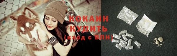 PSILOCYBIN Чита